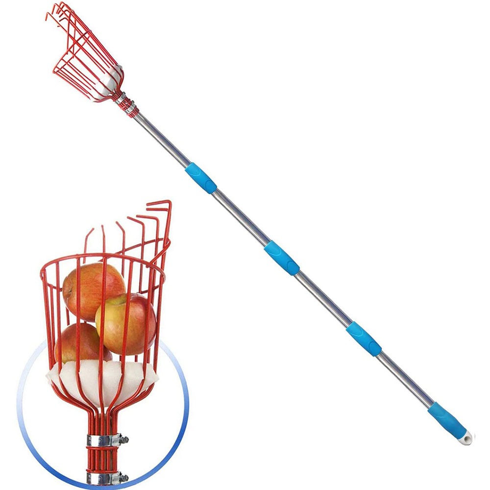 Recolector de Frutas de 260 cm - Cycling Zones reseña y precio